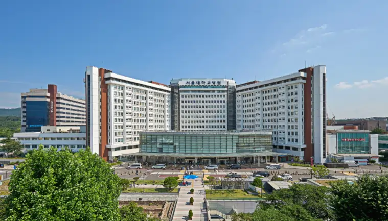 서울대학교병원