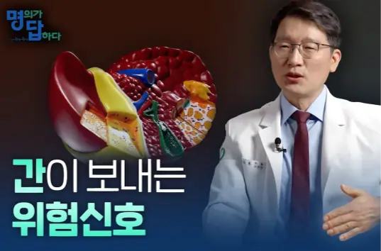 의학채널 명답 ‘피로는 간 때문이야?
간이 안 좋을 때 나타나는 증상’